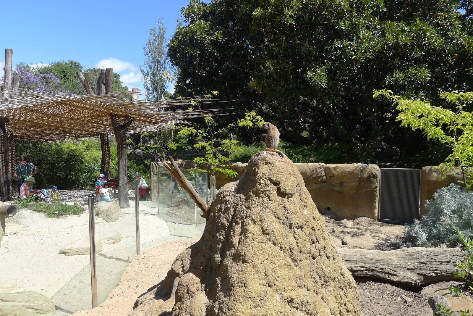 The new Growing Wild precinct