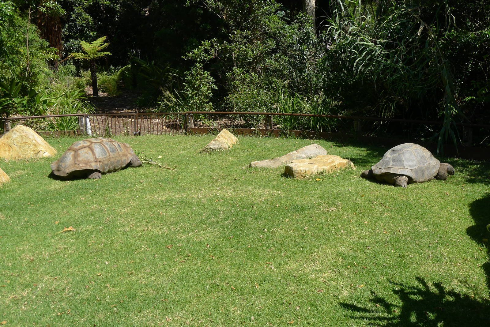 The new Growing Wild precinct