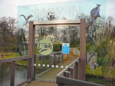 the new lemur enclosure entrance