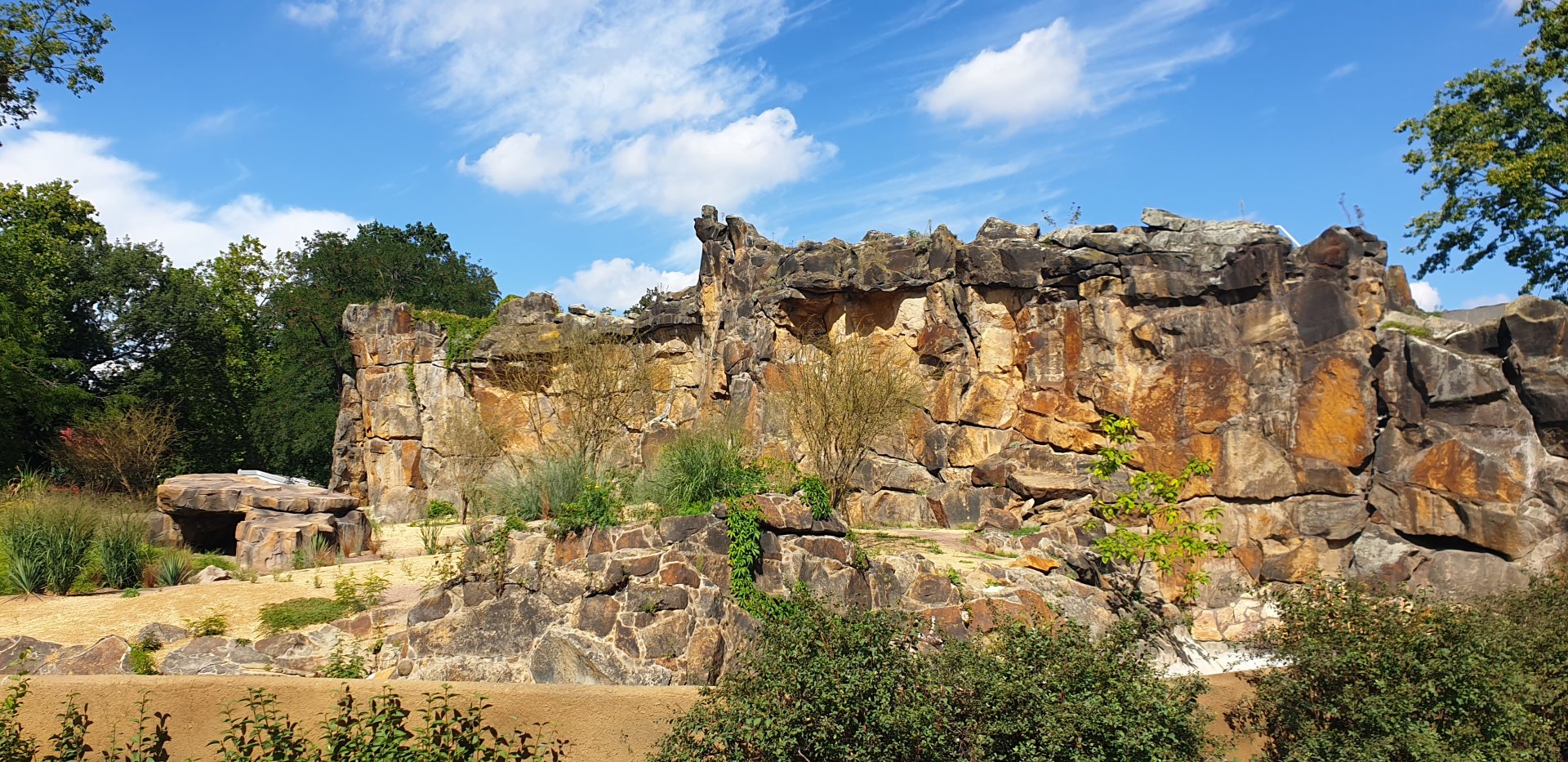 The new Lion enclosure