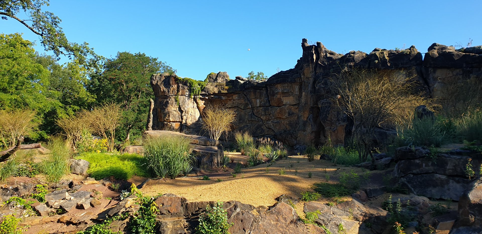 The new Lion enclosure