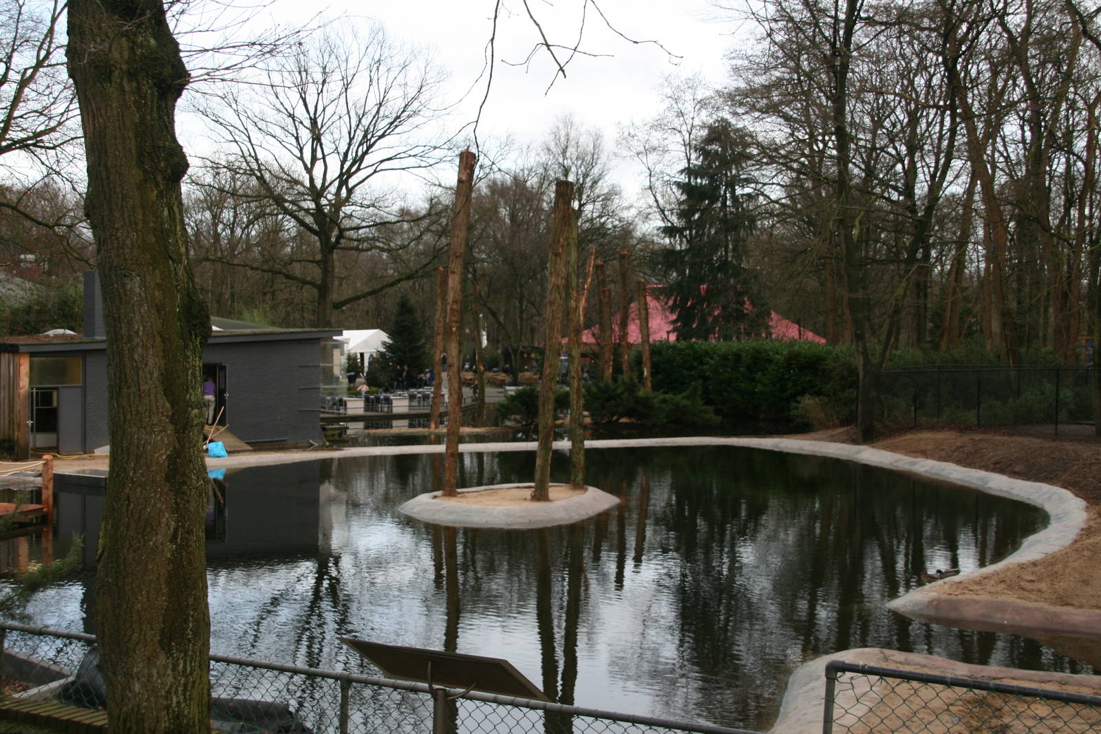 the new pelican pond under construction