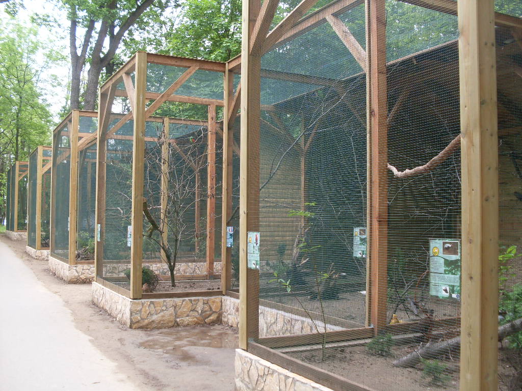 The new Pheasant Garden