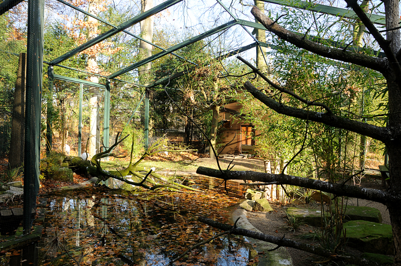 The new Phoenix aviary at Dortmund