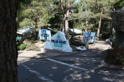 The New Polar Bear Plunge