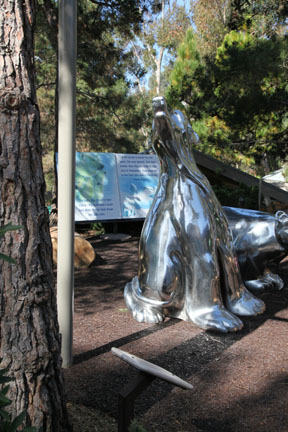 The New Polar Bear Plunge