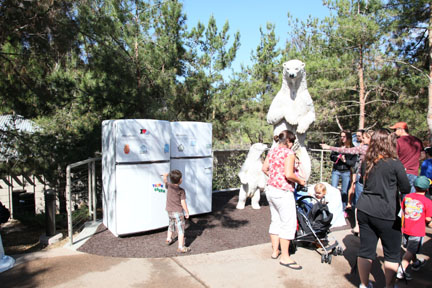 The New Polar Bear Plunge