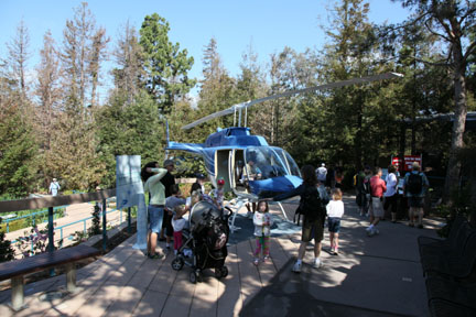 The New Polar Bear Plunge