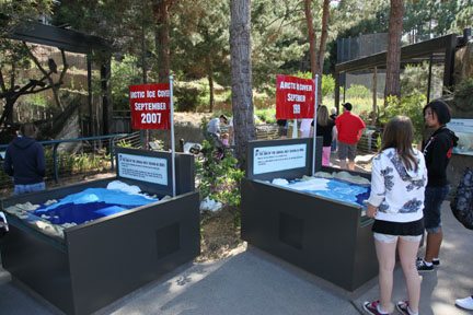 The New Polar Bear Plunge