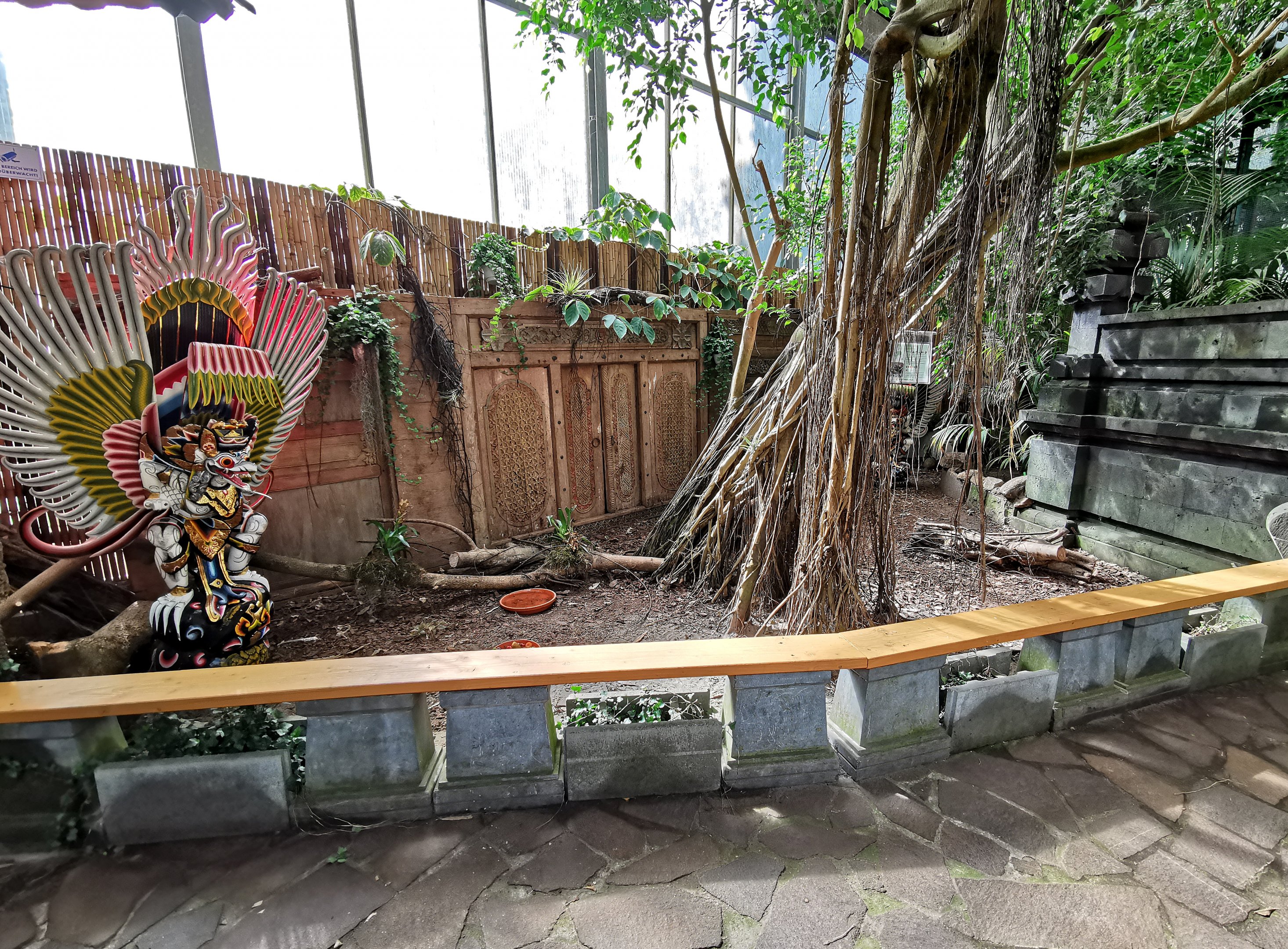 The new red-footed tortoise exhibit in Regenwaldhalle / Jungle Trail