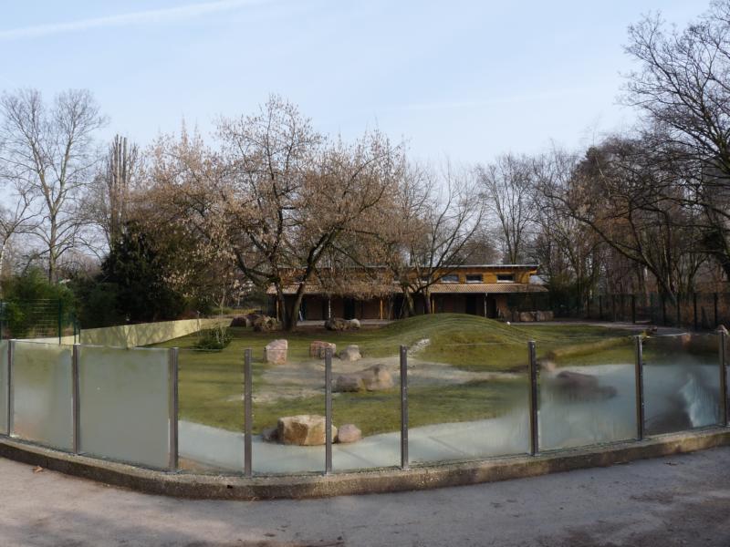 The new tapir exhibit