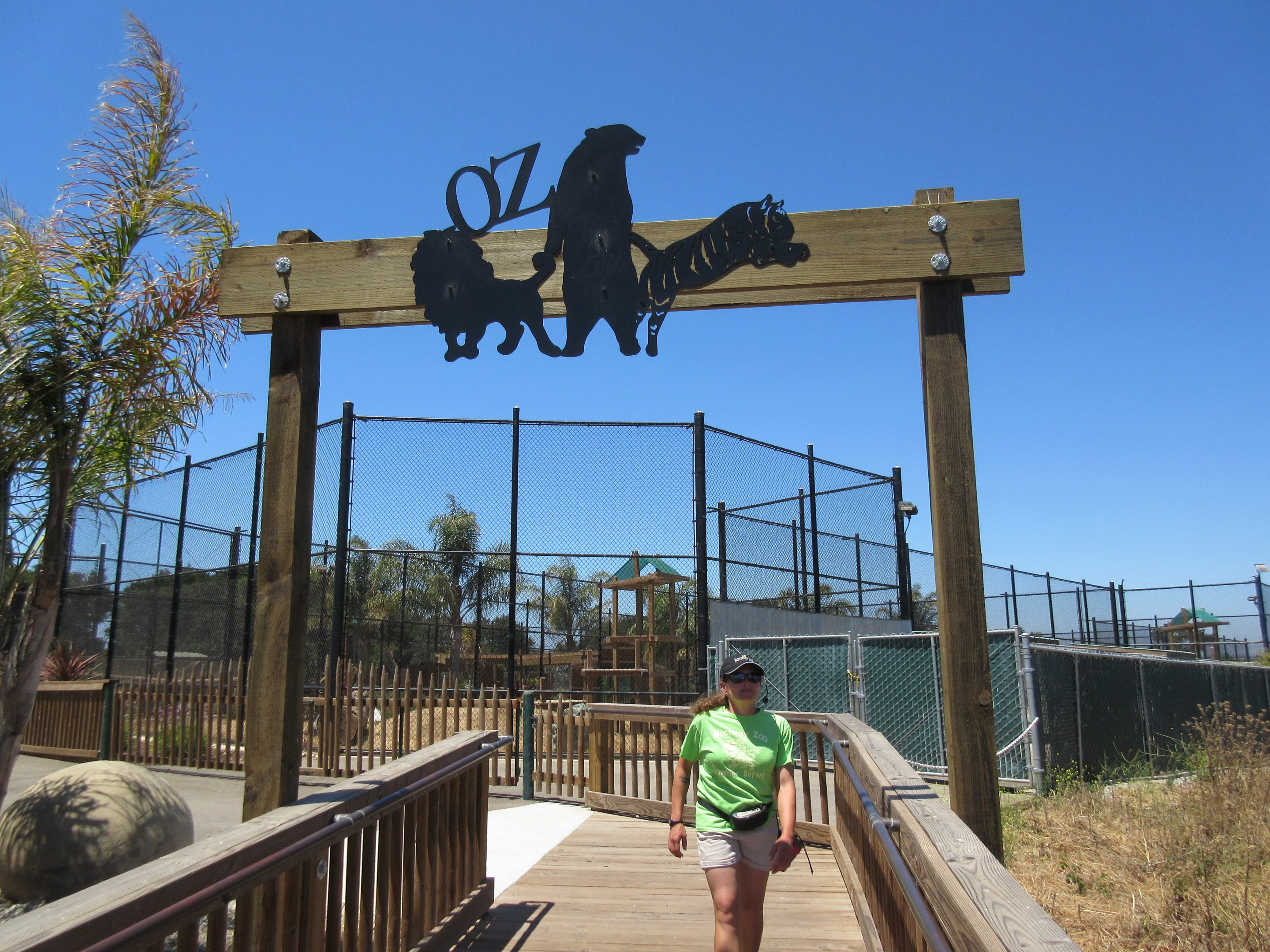 The New Zoo (2015-17) + Tour Guide