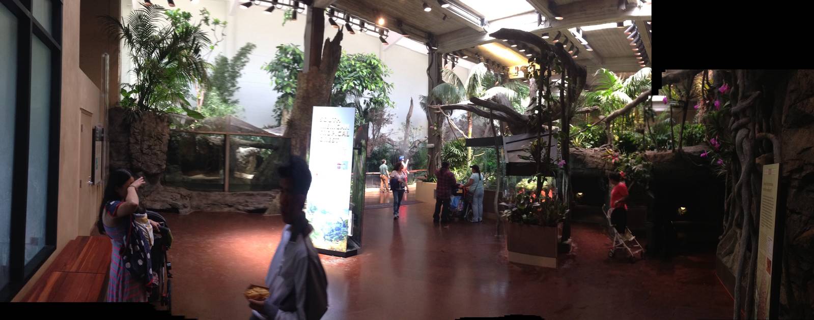 The newly renovated Koret-Taube South American tropical rainforest building