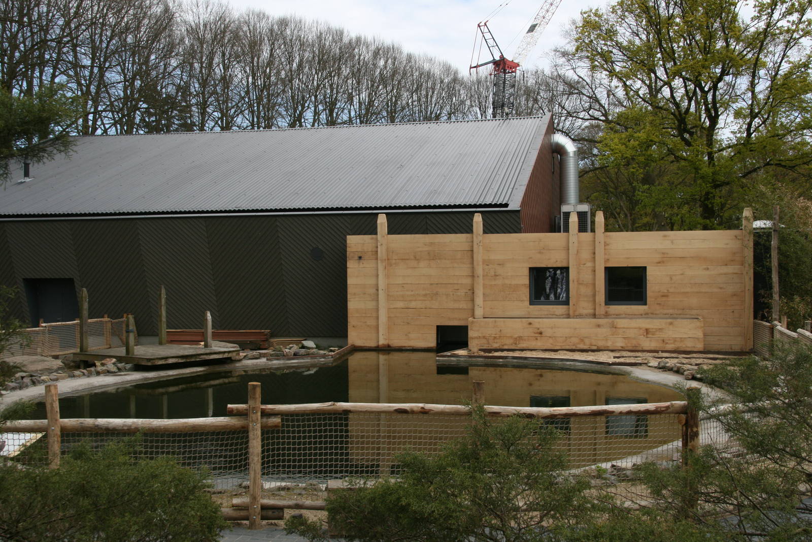 the newly restored outdoor sealion pool