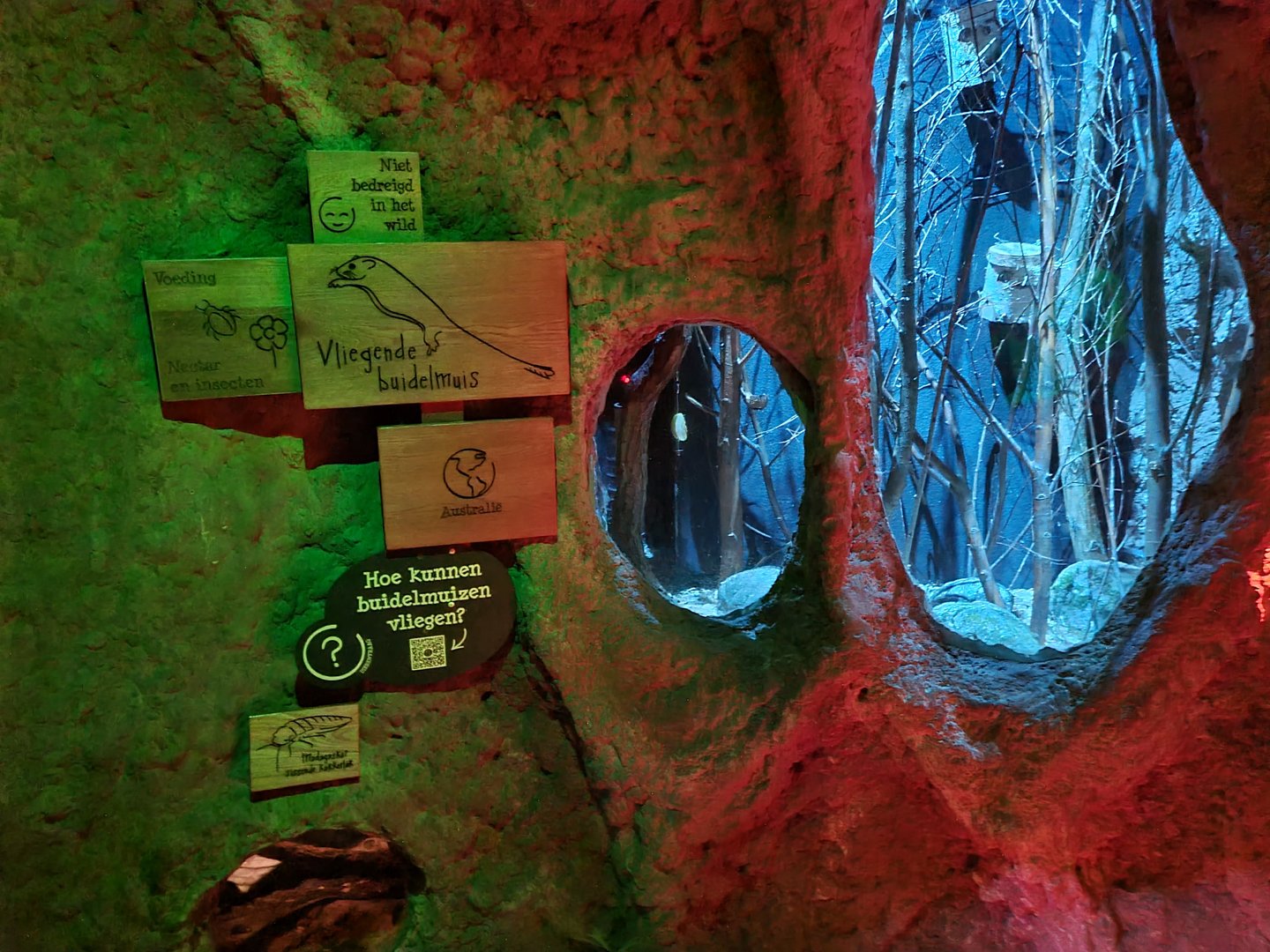 The Night - Feathertail glider and Cockroach enclosures