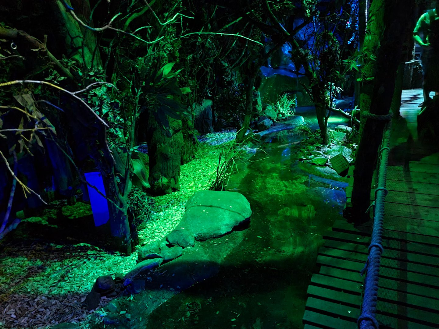 The Night - First hall