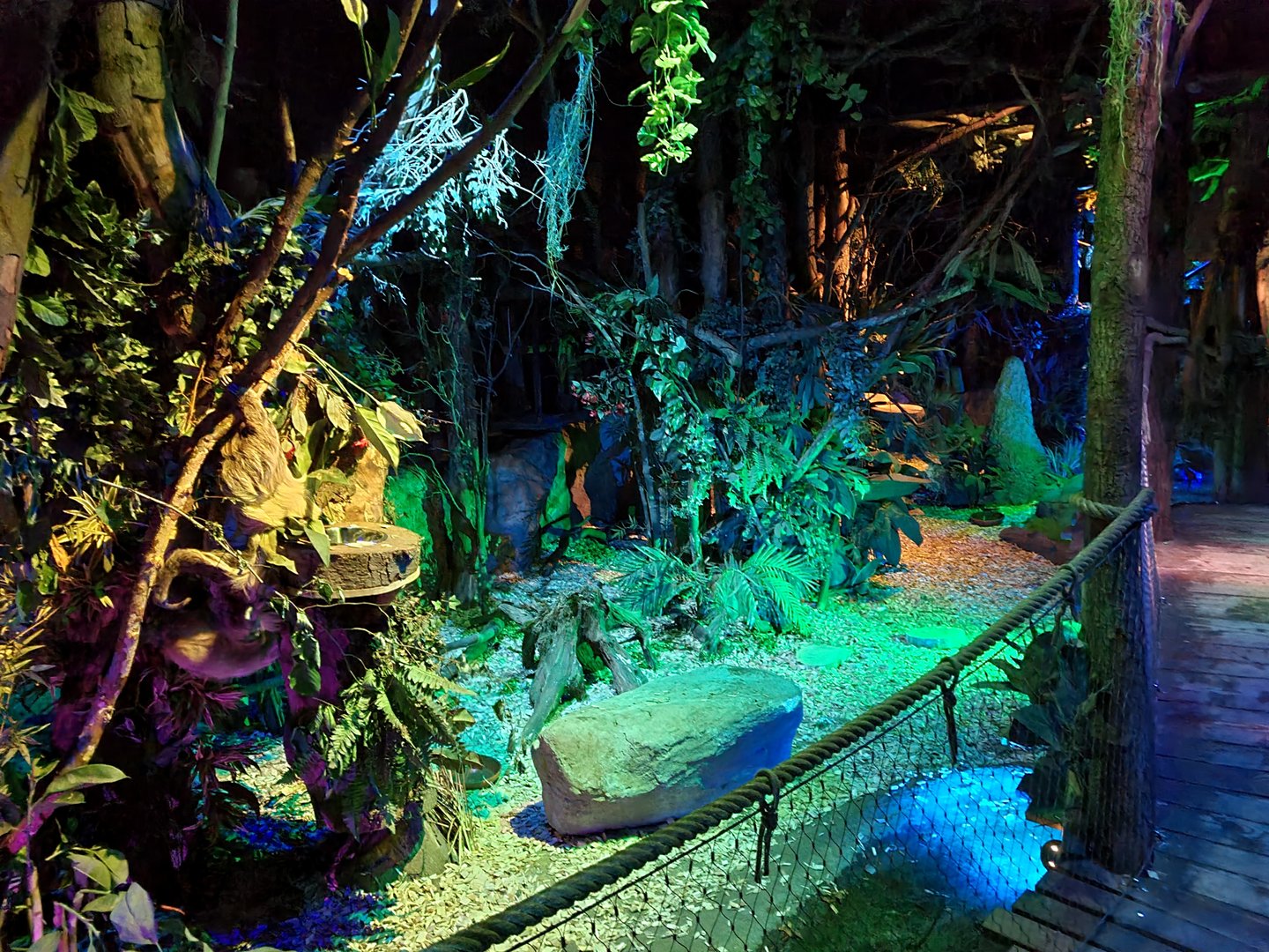 The Night - Look in first hall