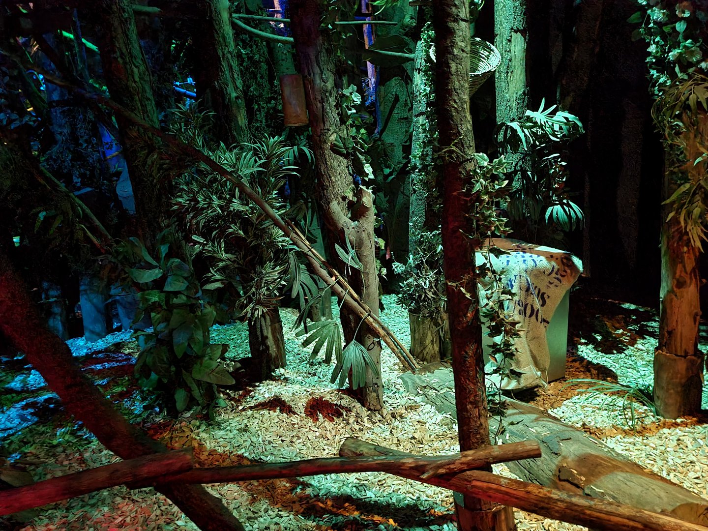 The Night - Second hall