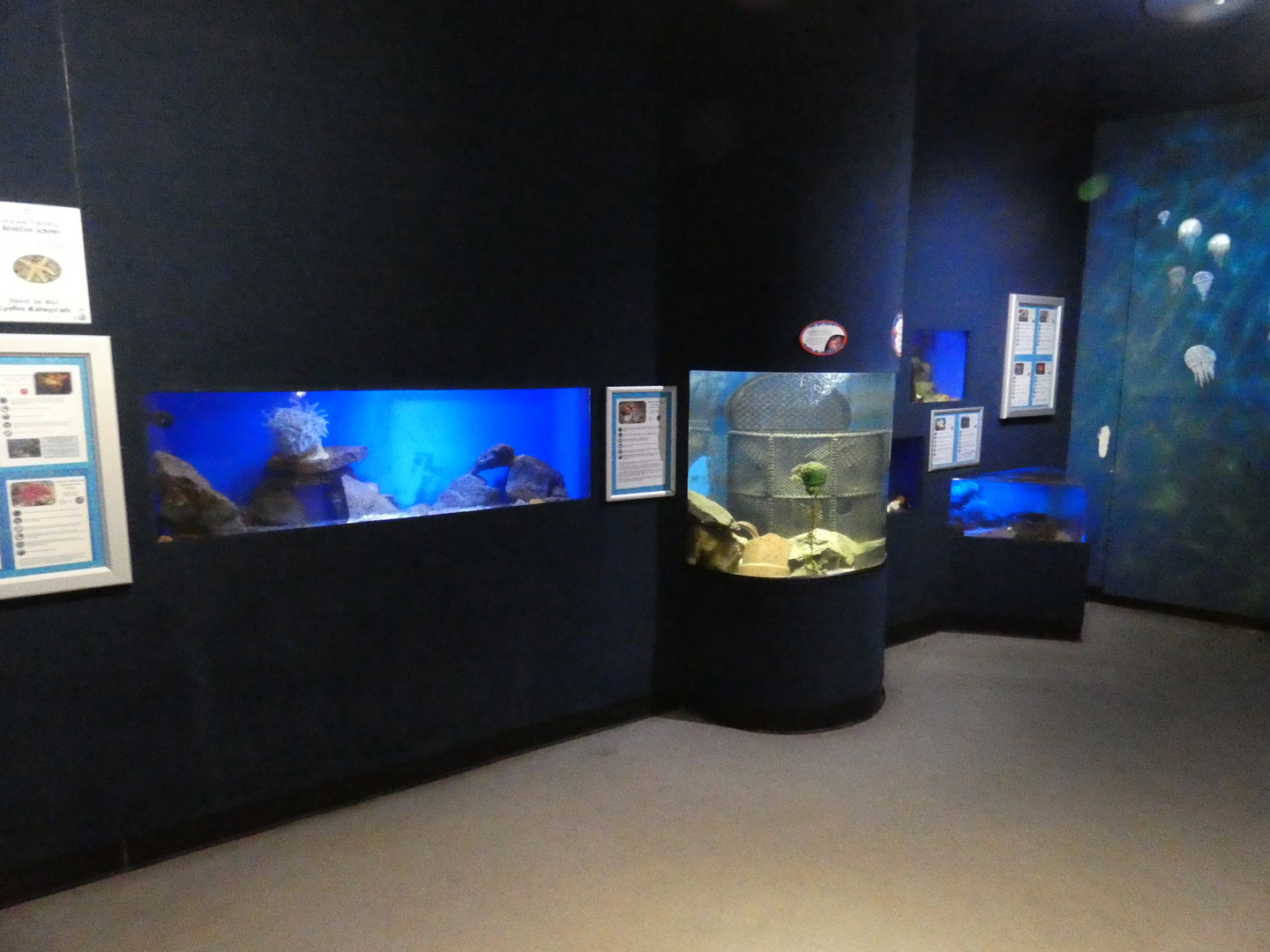 The 'No Bone Zone' - Anglesey Sea Zoo