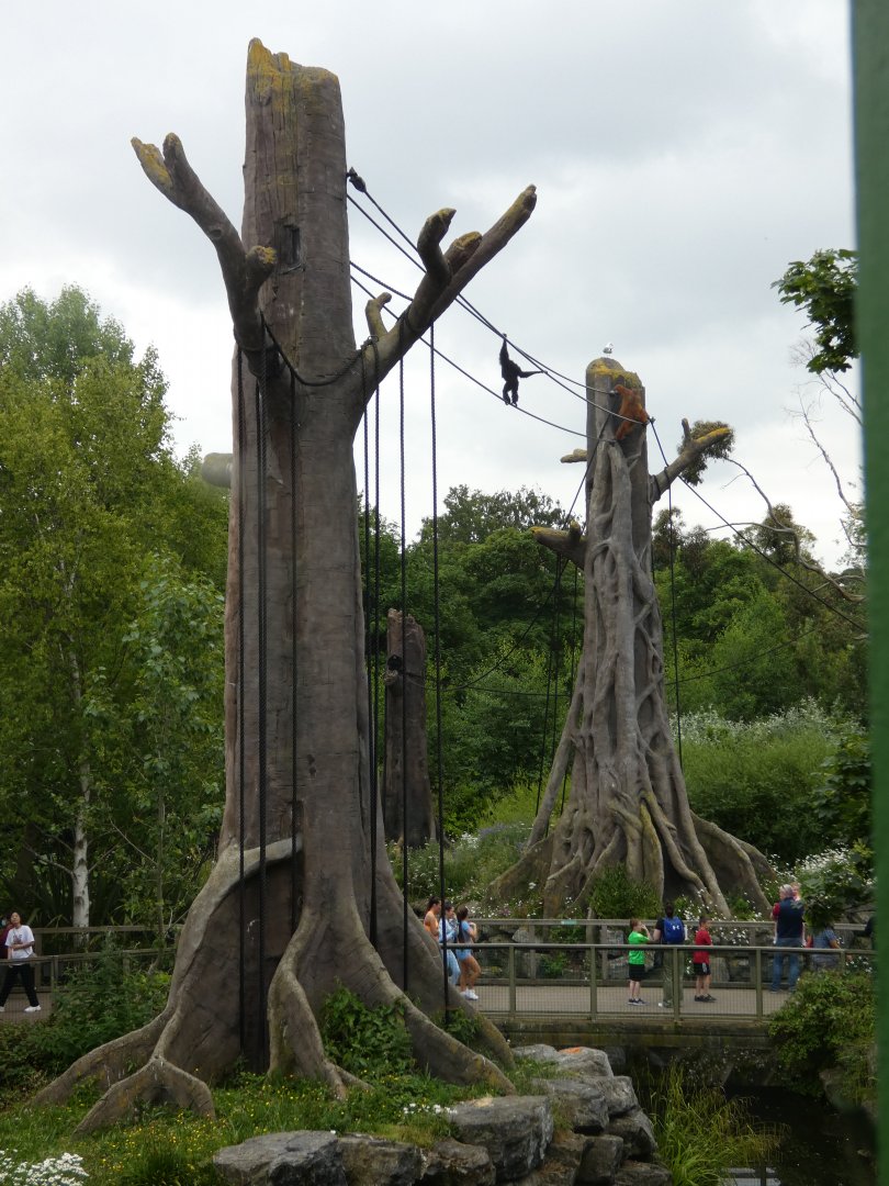 The O-line between islands