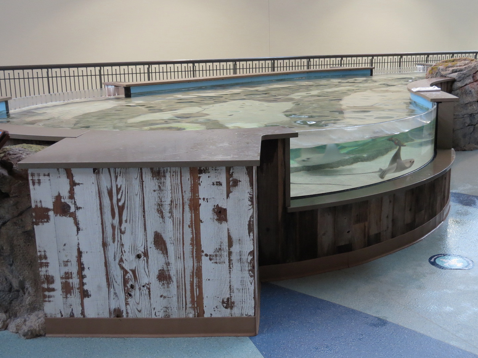 The Ocean Shore - Touch Tank