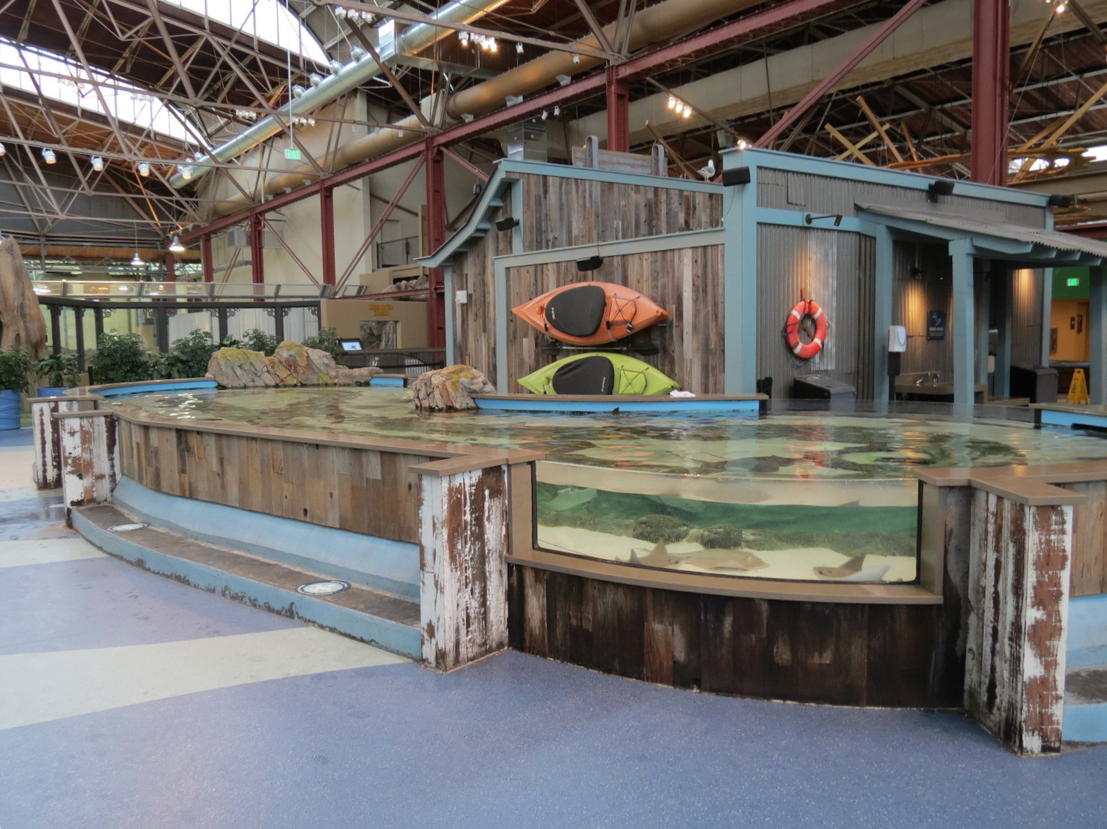 The Ocean Shore - Touch Tank