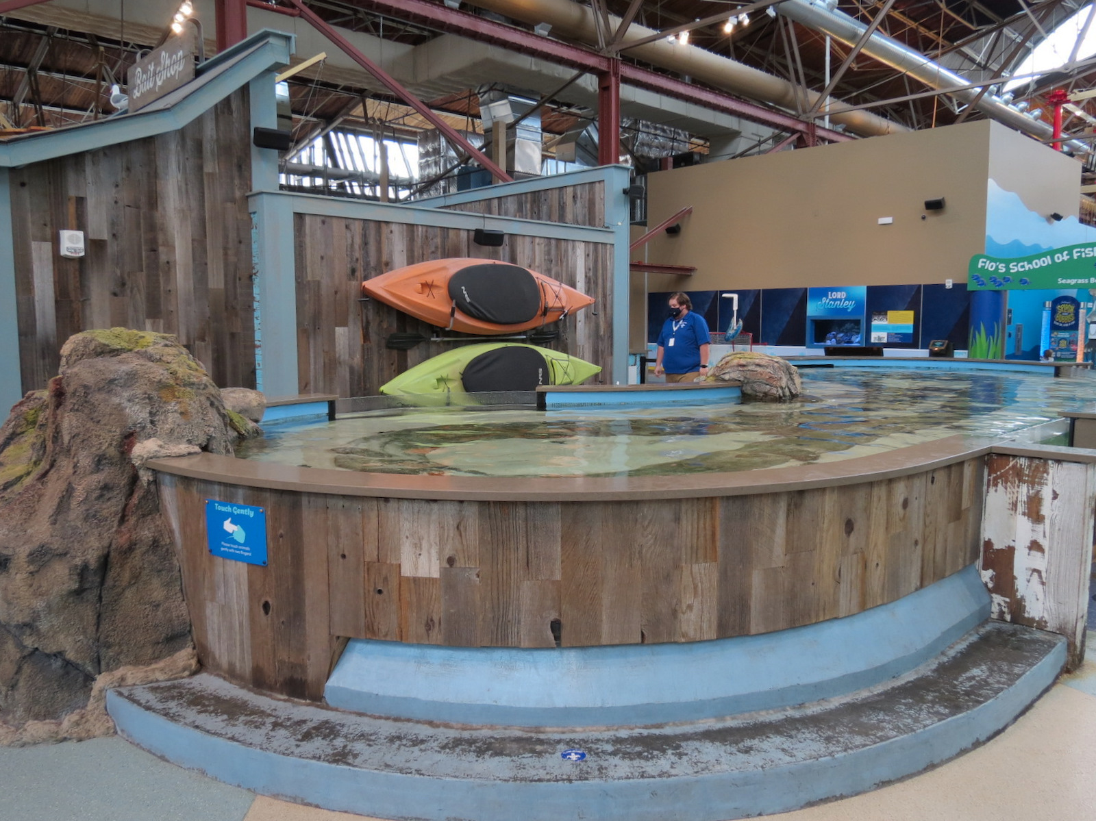 The Ocean Shore - Touch Tank