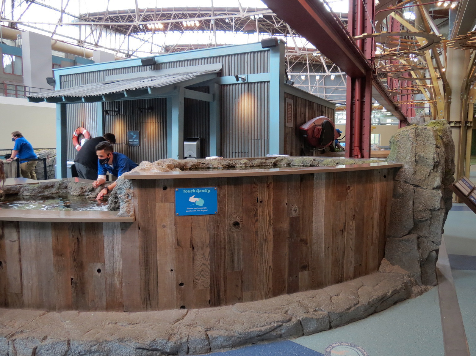 The Ocean Shore - Two Tidepool Touch Tanks