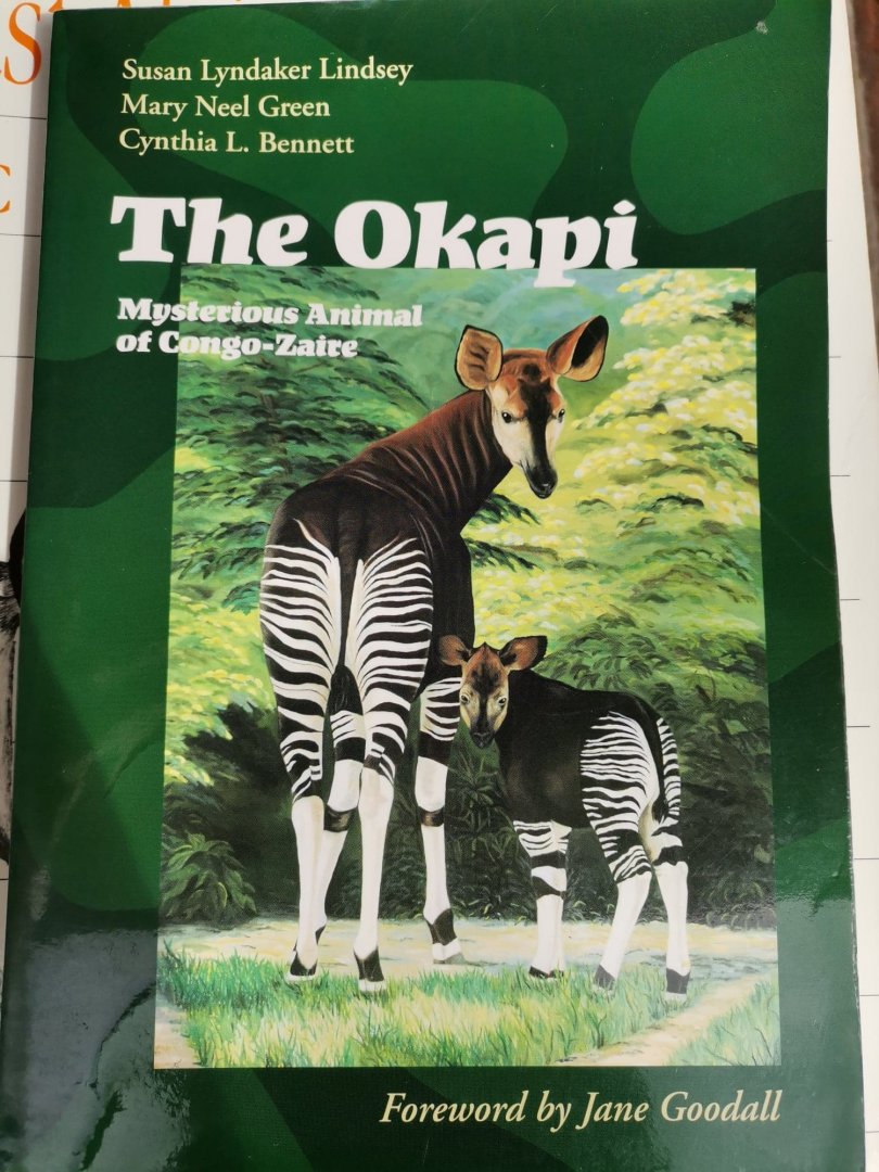The Okapi Mysterious Animal of Congo-Zaire