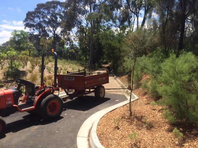 The old cat alley now rear of LG