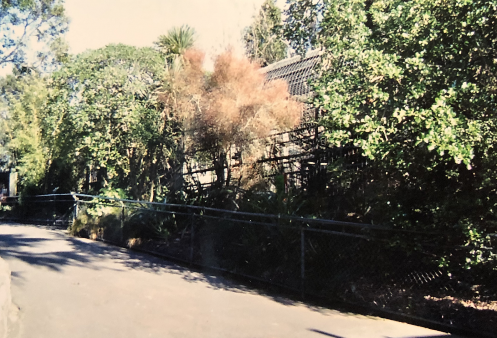 The old Chimpanzee enclosure