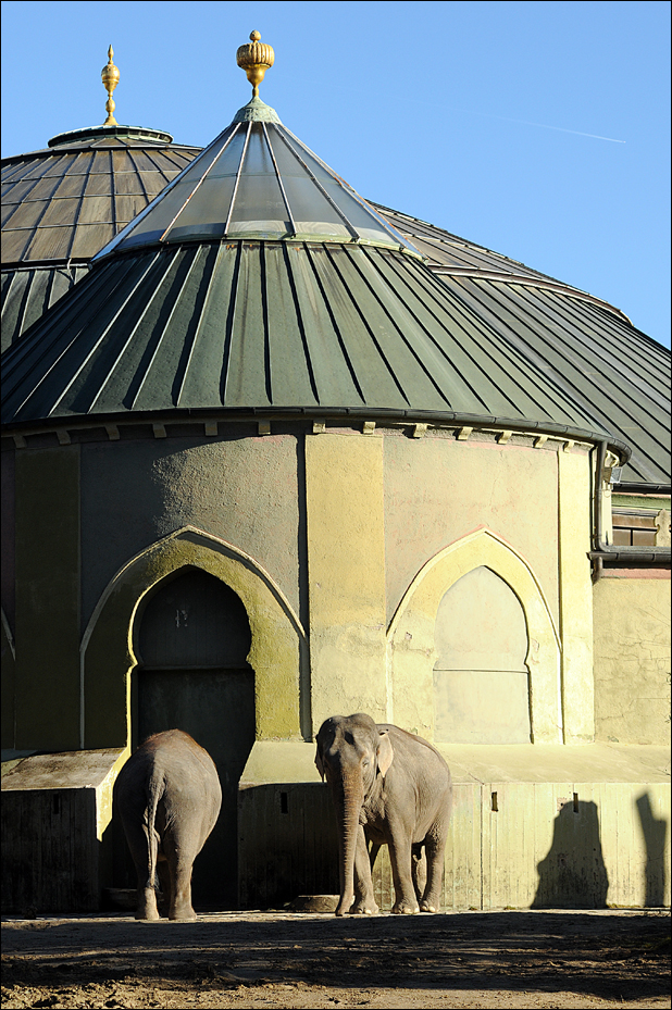 The old elephant house at Hellabrunn