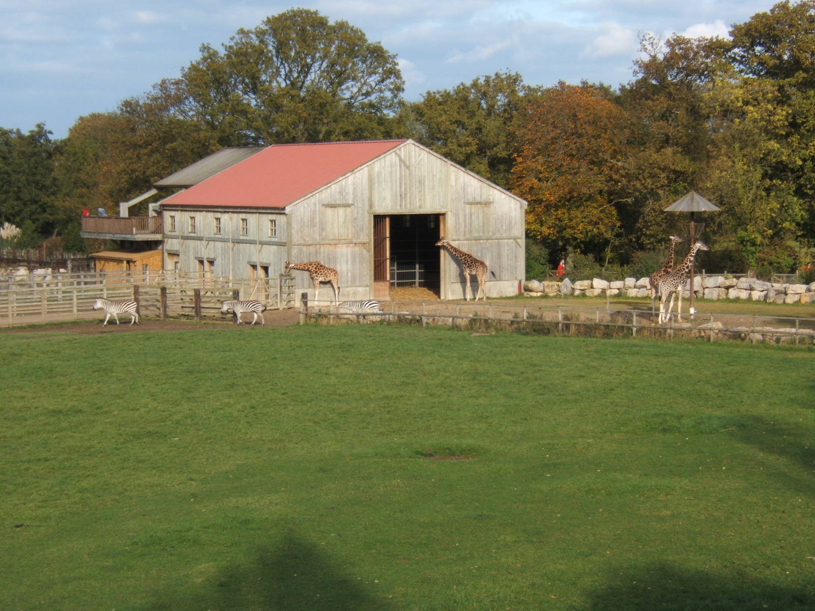 The old Giraffe House