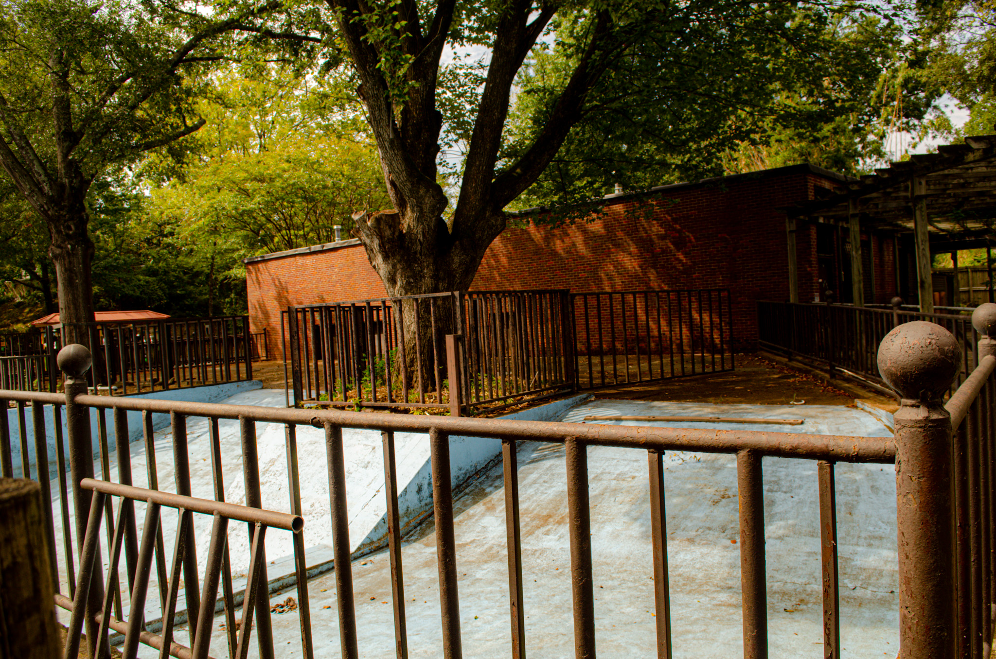 the old hippo house  2019