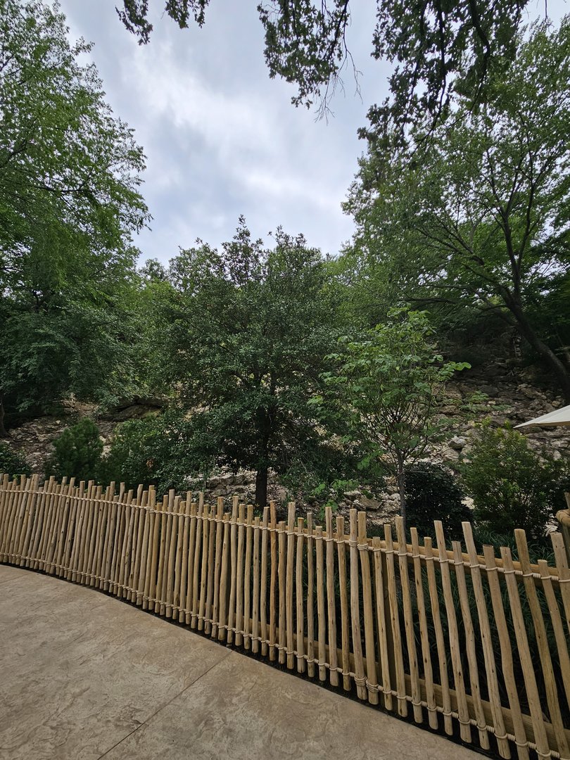 The old ibex habitat