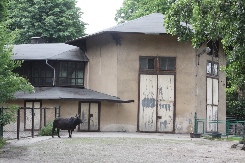 The old pavilion of giraffes