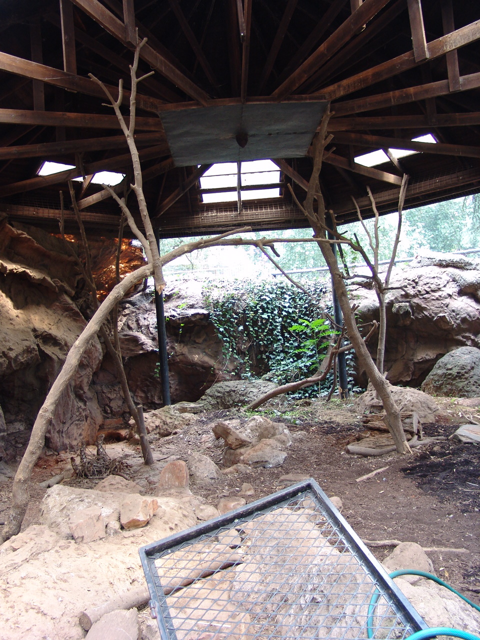 The old Polar Bear exhibit 2