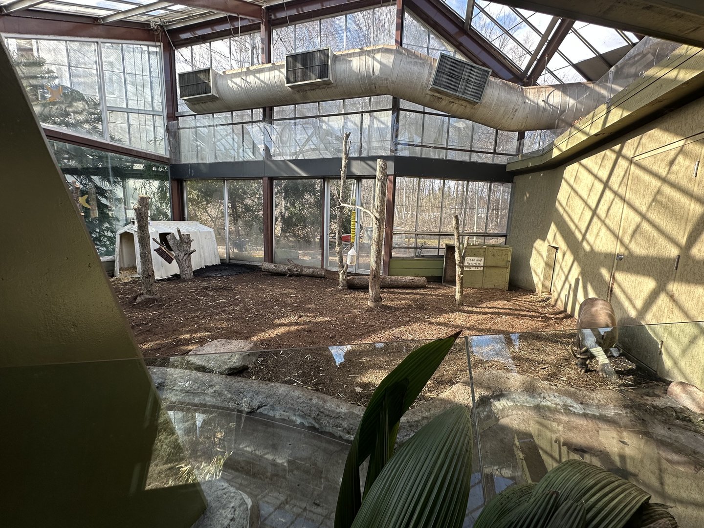 The Old Tree Kangaroo Exhibit