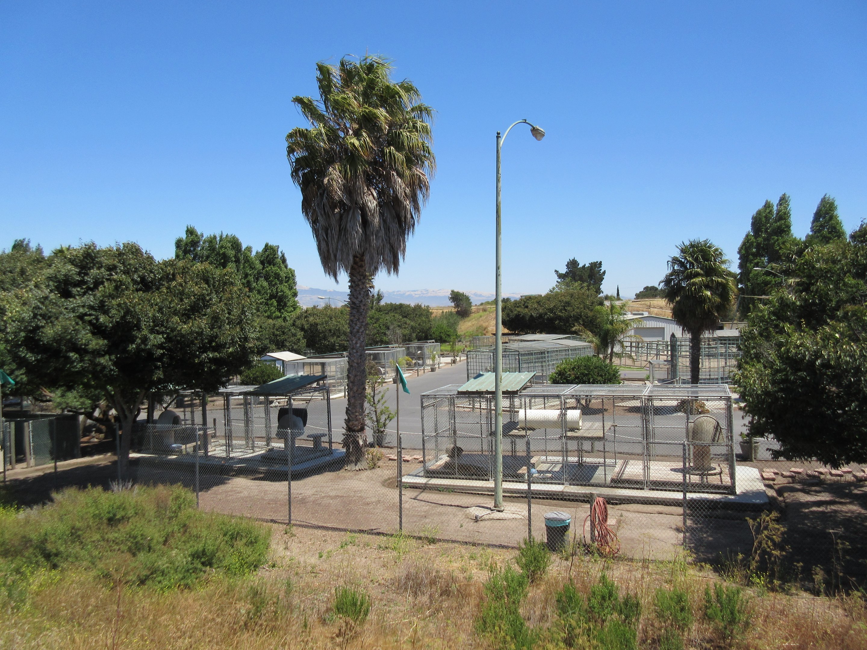 The Older Section of the Zoo