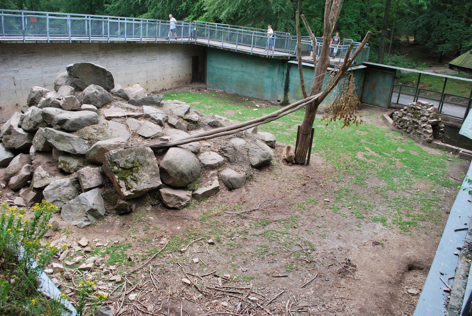 The one and only bad enclosure/exhibit at Skanes Animal Park: Bear enclosur