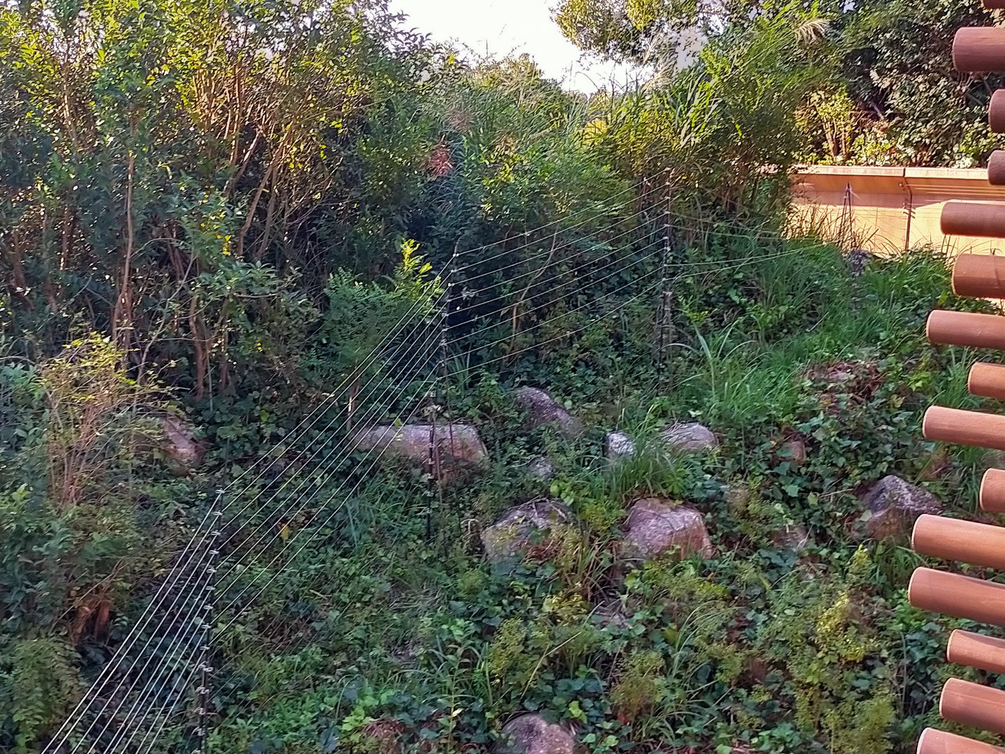 The one thing that is questionable about zoorasia chimp enclosure