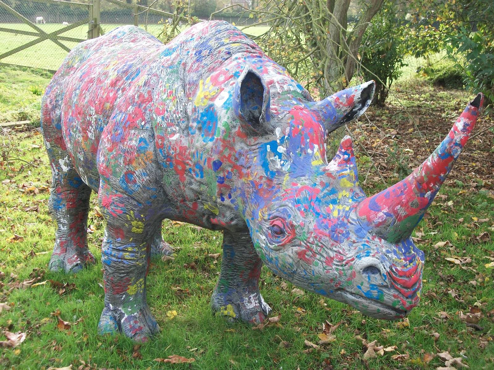 The only Rhino near the conversion, 31st October 2013