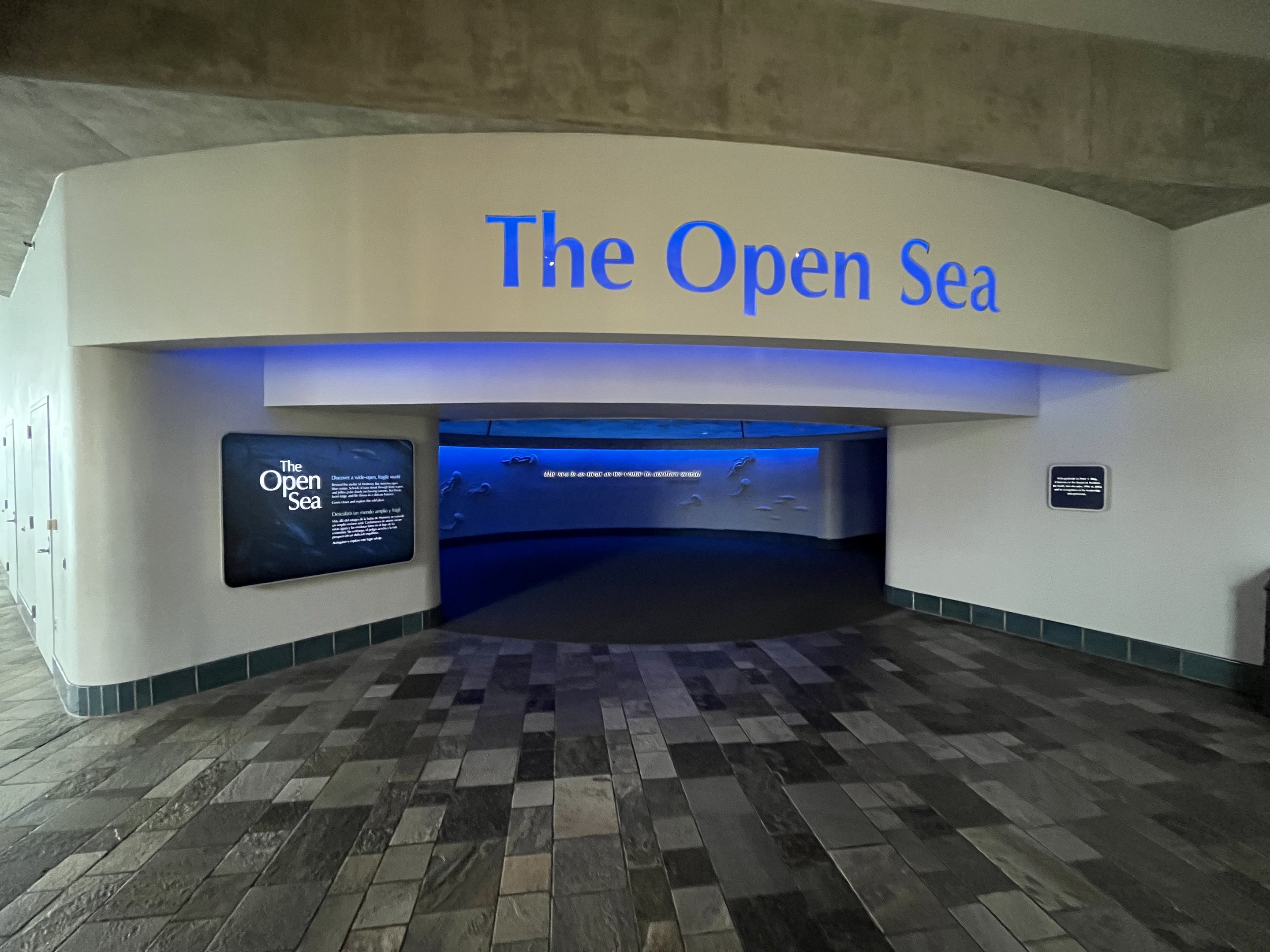 The Open Sea - Entrance