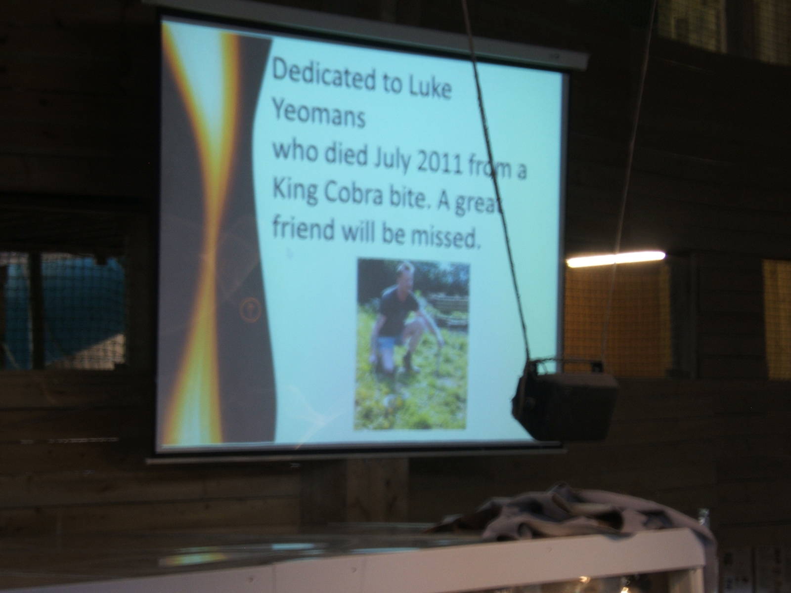 The opening of Peter Blakes venomous snake demo