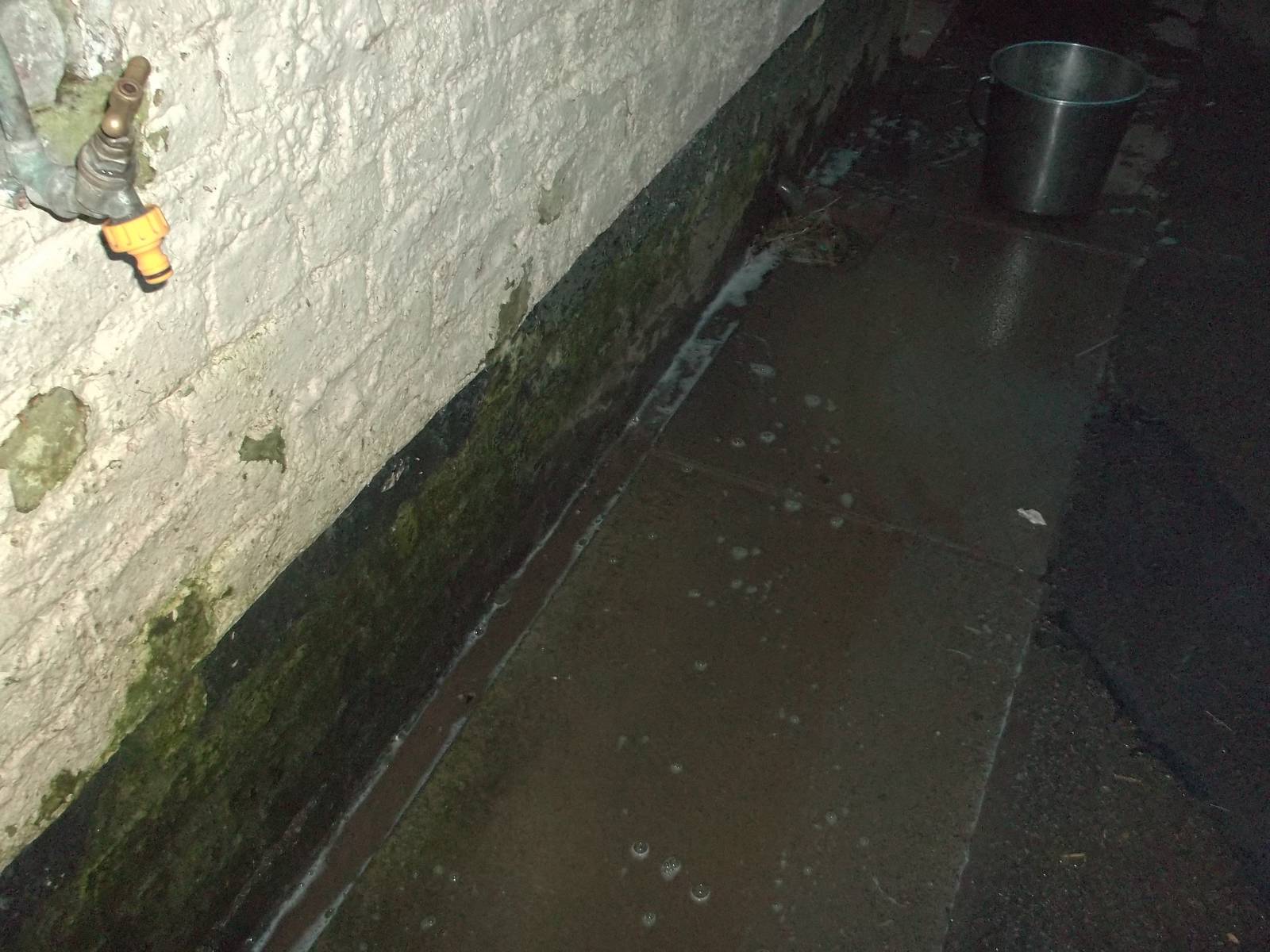 The opportunity for my favourite pastime, 26th December 2014