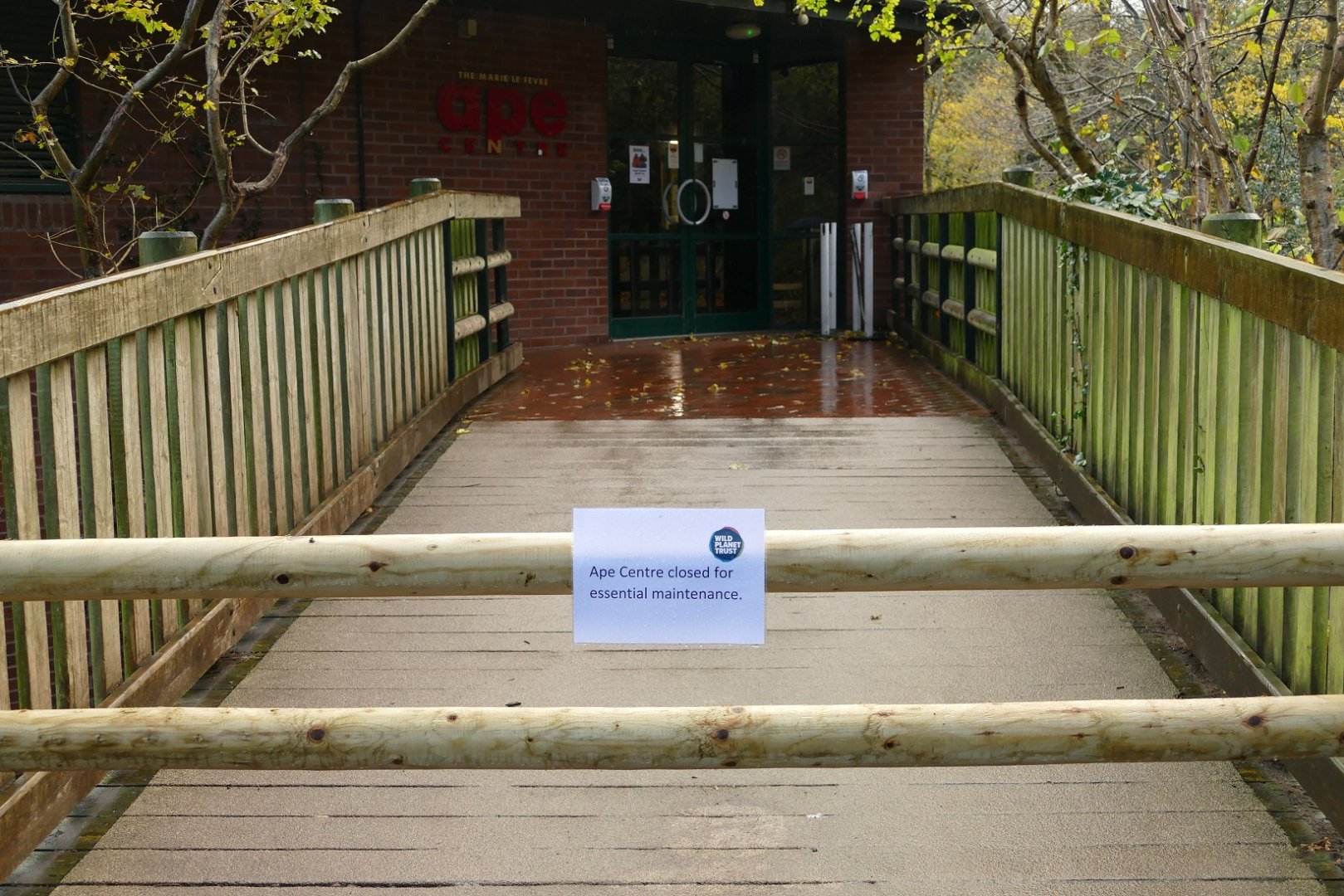 The other side of the Ape House, December 2021