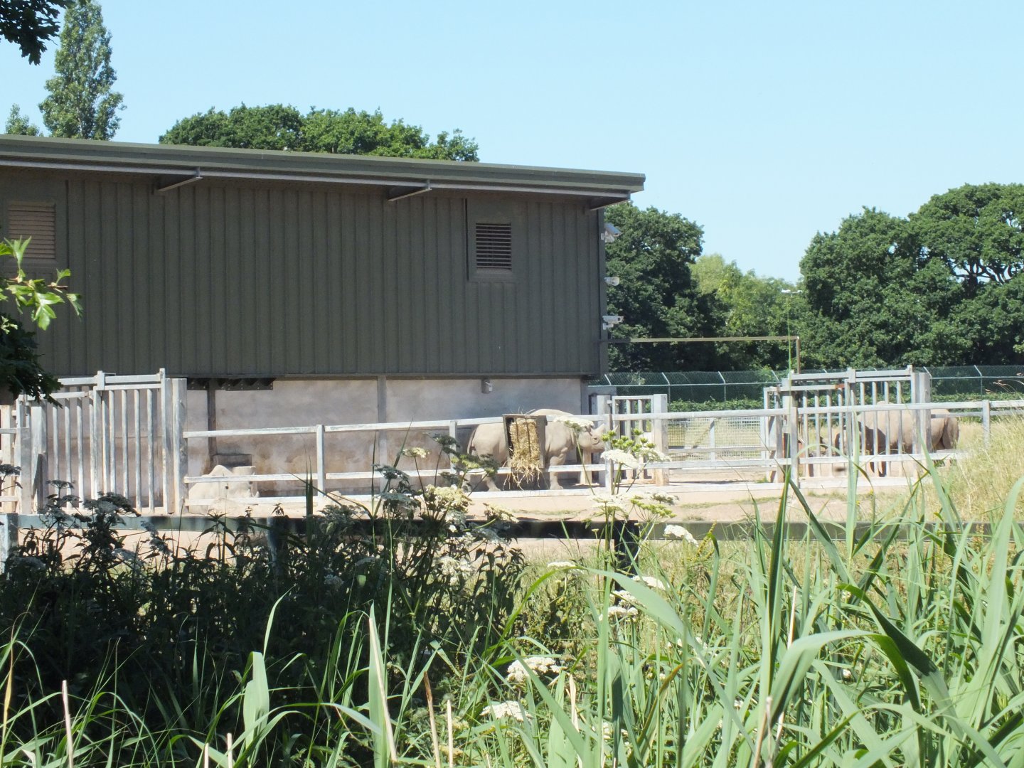 The other Tsavo Unit 28/06/19