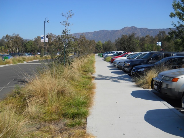 The parking lot that is also a zoo exhibit