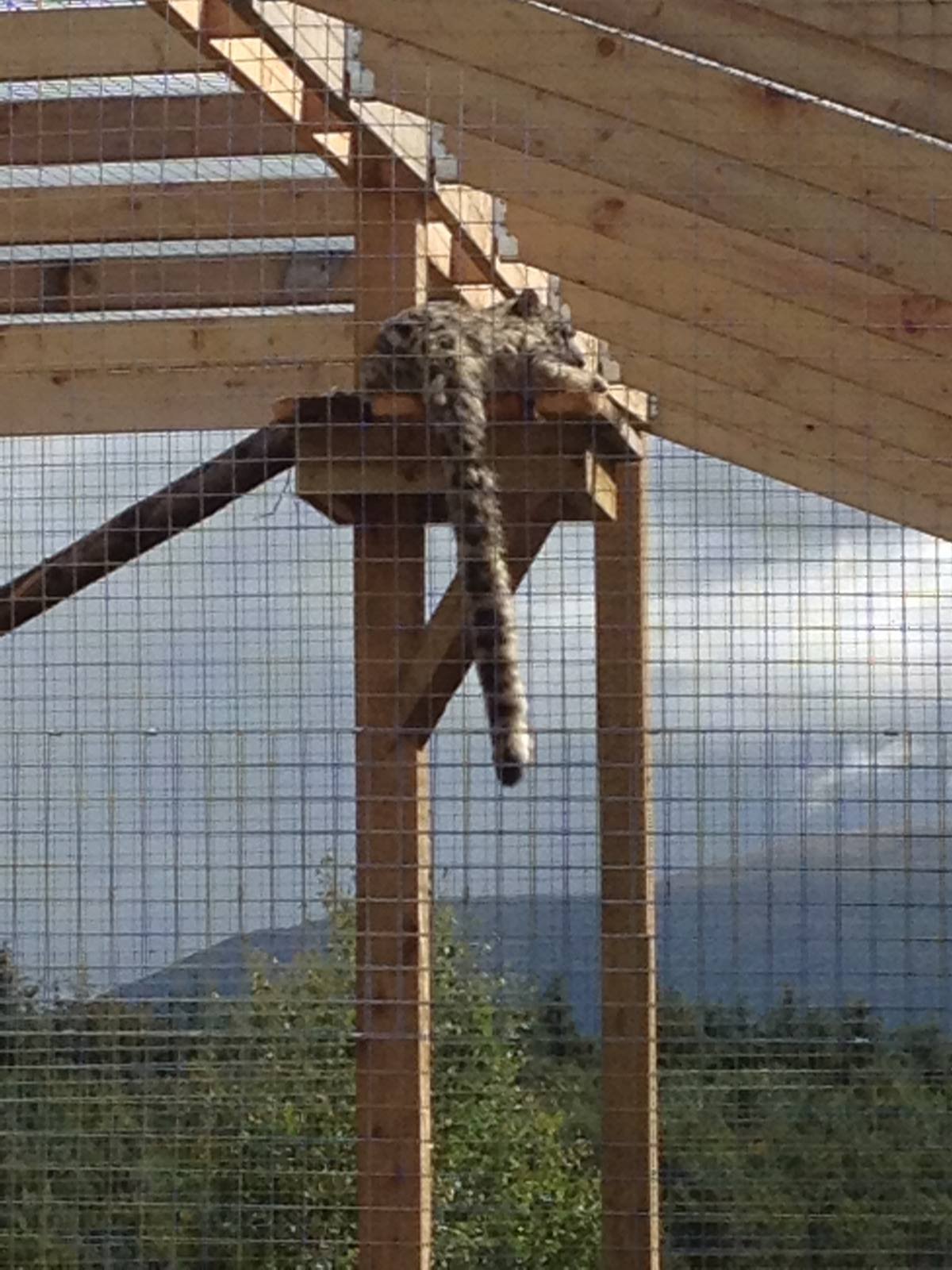 The park's newest resident