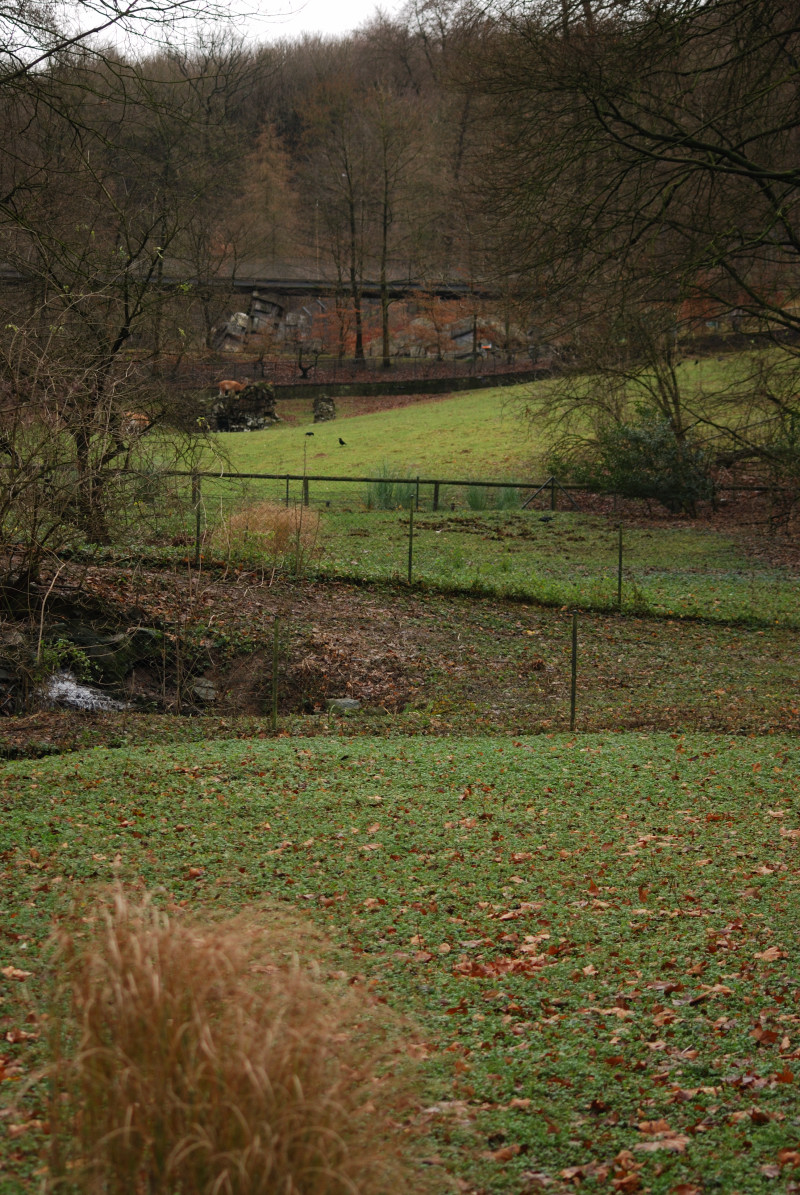 The patagonian exhibits